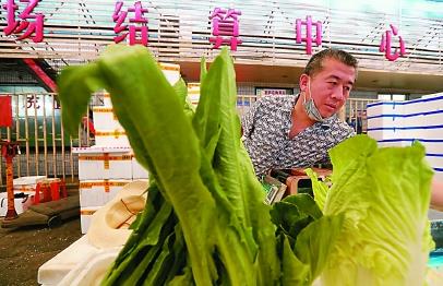 上海精準對接銷售云南扶貧農(nóng)產(chǎn)品，微生物肥料助力農(nóng)戶解燃眉之急